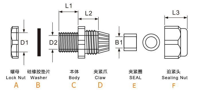 图纸.jpg